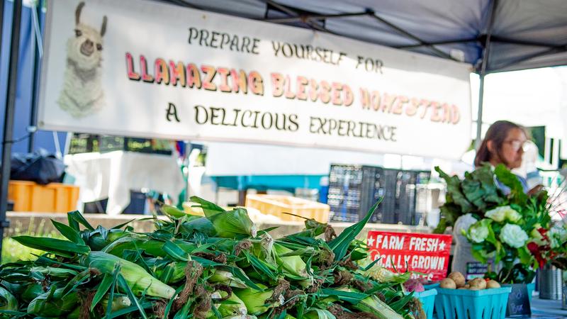Historic Warrenton Virginia Farmer's Market